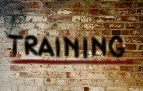 Training Concept