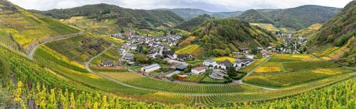 On the red wine hiking trail in the Ahrtal in Rhineland-Palatinate, Germany. A tourist attraction,