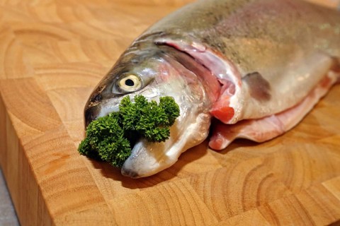 Fresh salmon trout