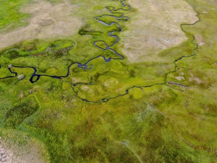 Aerial view of green land and small curve river in Aspen Springs, Mono County California, USA,