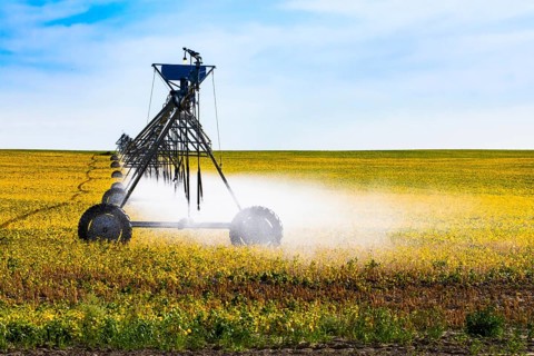 Fine water mist is seen coming from a portable pivot irrigation system on wheels, crop cultivation