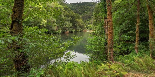 Fragas do Eume Natural Park, Pontedeume, La Coruña, Galicia, Spain, Europe