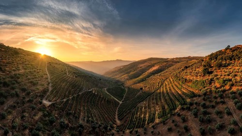 Sao Joao da Resqueira - terraced Portuguese vineyards near Nagozelo do Douro, where port wine is