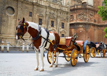 Seville horse carriages in Cathedral of Sevilla Andalusia Spain