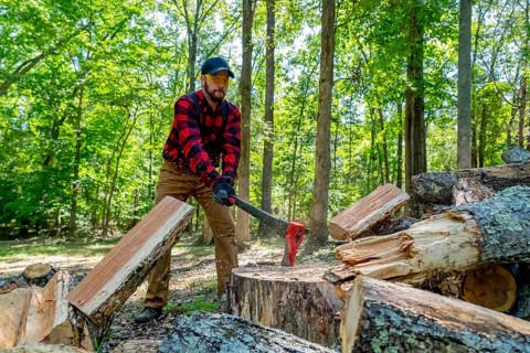 A robust young man wields an axe, skillfully cutting wood on his property. He clears the land while