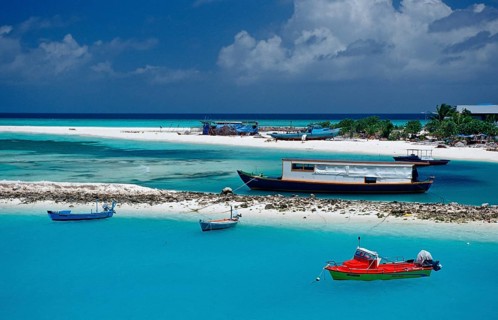 Fishing boats and dhonis off Maldives Island, Maldives, Indian Ocean, Meemu Atoll, Asia