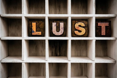 The word LUST written in vintage ink stained wooden letterpress type in a partitioned printer's