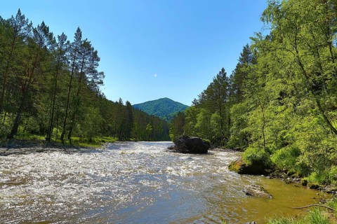 Mountain river Sema landscape in Siberia, Altai, Russia, Europe