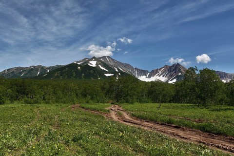 Nature of Kamchatka Peninsula: forest road in mountains on sunny day. Russia, Far East, Kamchatka
