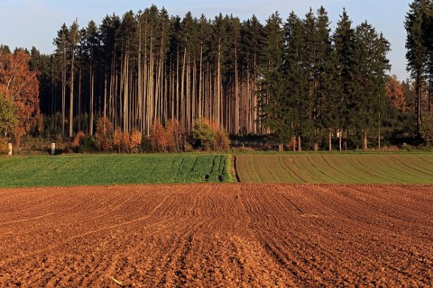 Agricultural landscape at sunset, Alpine foothills, Bavaria