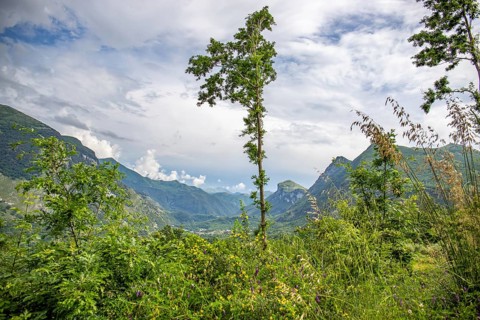 Coastal landscape shot. View from a road leading through a mountainous landscape and breathtaking