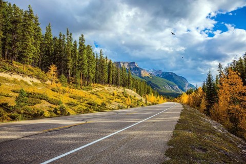 Excellent highway crosses the Rocky Mountains of Canada. Yellow, red and orange leaves adorn the