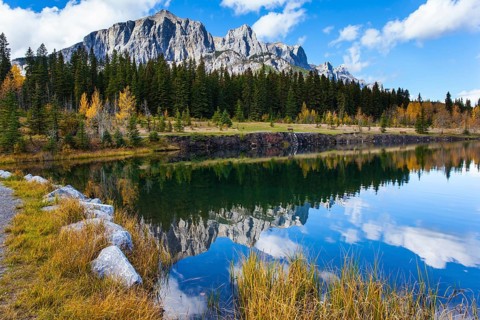Bright autumn forest is reflected in the smooth water of the lake. The city of Canmore. Three