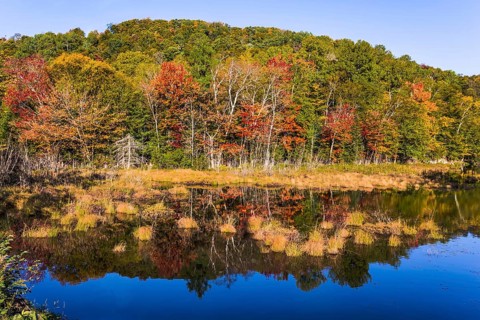 Concept of ecological tourism. The lake is smooth like a mirror. Foliage of forests is reflected in