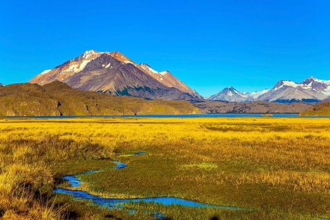 The yellow grass field with streams from underground sources. Trip to the Argentine Patagonia. The