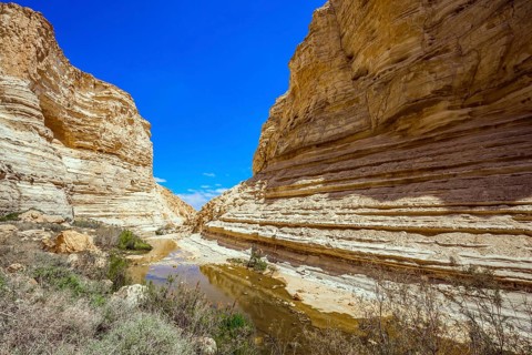 The magnificent gorge Ein Avdat is the most beautiful in the Negev desert. Israel. The ravine is