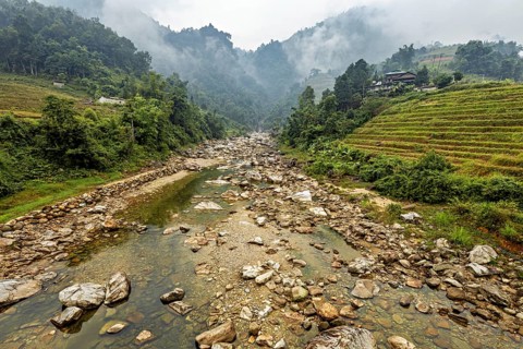 Misty mountain landscape with river and green rice terraces, surrounded by forests, river landscape