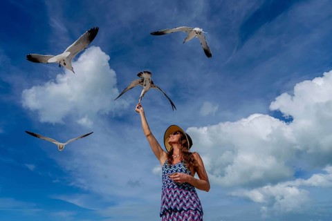A stunning woman gracefully feeds seagulls on a Caribbean beach, surrounded by turquoise waters and
