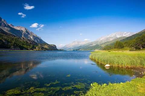 Lake Sils. It is a lake in the Upper Engadine valley, Grisons, Switzerland, Europe