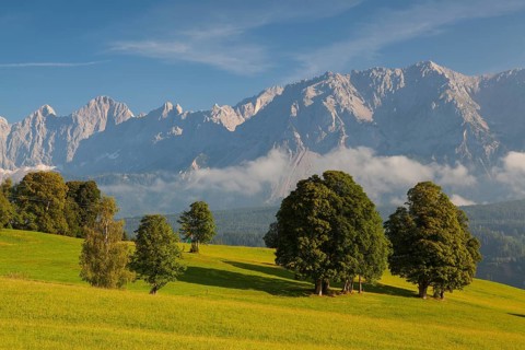On pasture in the mountains