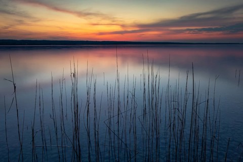 Calm evening mood at the lake with reeds in the foreground and colourful sunset, Lake Ammer,