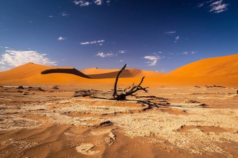 Sossousvlei Park, Deadvlei, Namibia, Africa