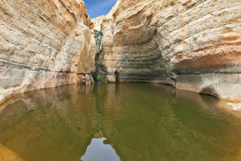Clean cold water in the creek canyon. Sandstone walls apart, like butterfly wings. Picturesque