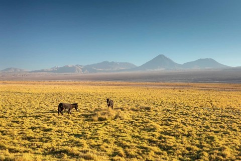 Atacama desert, Chile, Andes, South America. Beautiful view and landscape, South America