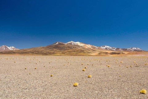 Atacama Desert, Chile. Salar Aguas Calientes. Lake Tuyacto. South America