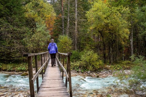 Crossing a wooden footbridge in the forest, somewhere in the Bistrice valley in the Triglav