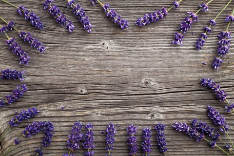 Lavender flowers on a wooden background. Floral border or frame with lavender