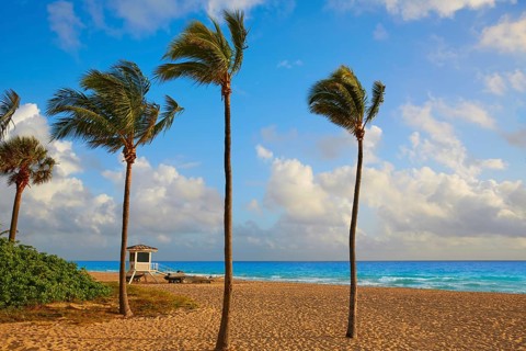 Fort Lauderdale beach morning sunrise in Florida USA palm trees