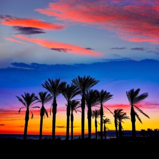 Almeria Cabo de Gata sunset pam trees in Retamar beach at Spain