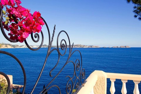 Calvia Cala Fornells bougainvilleas balearic fence in Mallorca Balearic Island