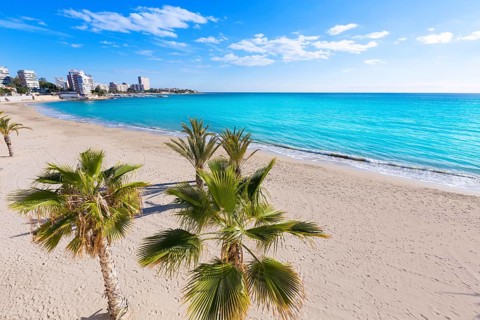 Alicante San Juan beach of La Albufereta with palms trees in Mediterranean Spain