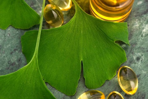 Ginkgo with essential oil