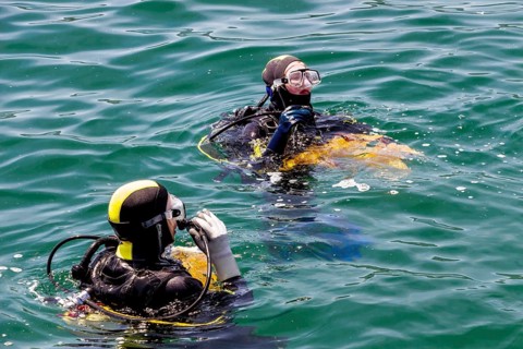 Switzerland, Zurich, rescue diver, symbol, l for rescue, help, emergency Austria, Europe