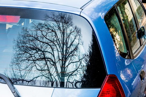 Baum spiegelt sich im Autofenster, Symbol für Natur und Technik, Kontrast, künstlich versus