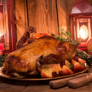 Christmas duck