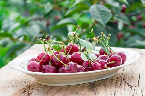Cherry