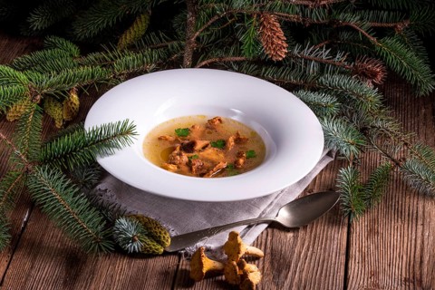 Slight mushroom broth