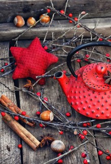 Red iron kettle custard, berries, cinnamon and branches with red berries