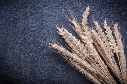 Wheat rye ears on black background top view image