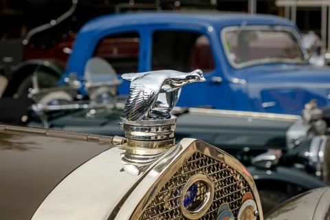 Lisbon, Portugal - Oct 15, 2023: Close-up and selective focus of flying quail bird bonnet mascot on