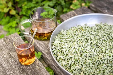 A verbena tea on old wooden planks
