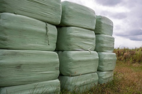 Silage packed in green plastic for cows in the north of the Netherlands