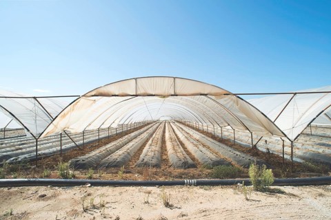 Greenhouse without plants. Sunlight