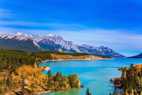 Mountain valley in the Rocky Mountains of Canada. Picturesque shores of Abraham Lake. Golden Autumn