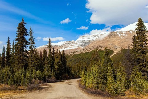 Valley at the foot of Lake Peyto. Autumn Journey to the Rockies of Canada. Active, eco and photo
