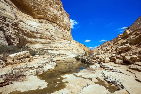 Start route. The walls of the gorge are corroded by caves. Israel. The ravine is formed by the